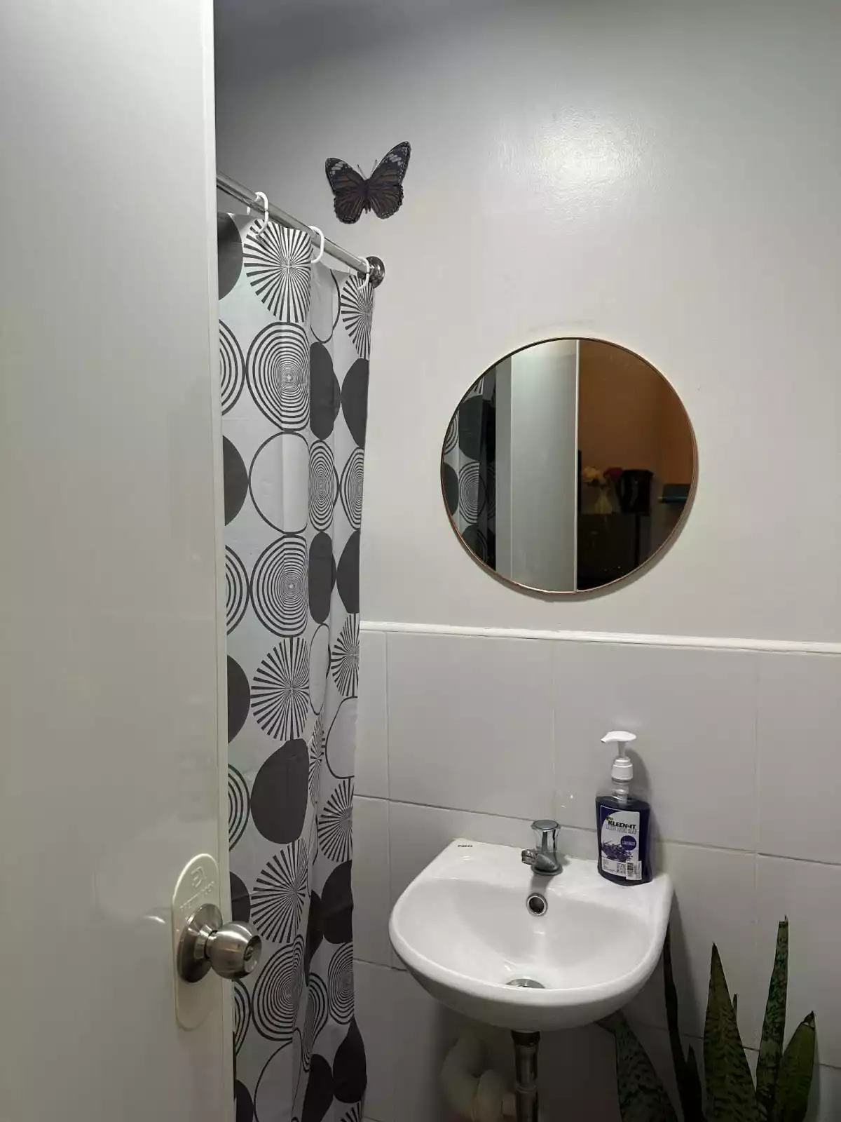 For Rent: Plumera Mactan Studio Condo in Basak, Lapu-lapu City — Fully Furnished — Studio in Basak, Lapu-lapu City, Cebu — Photo 3