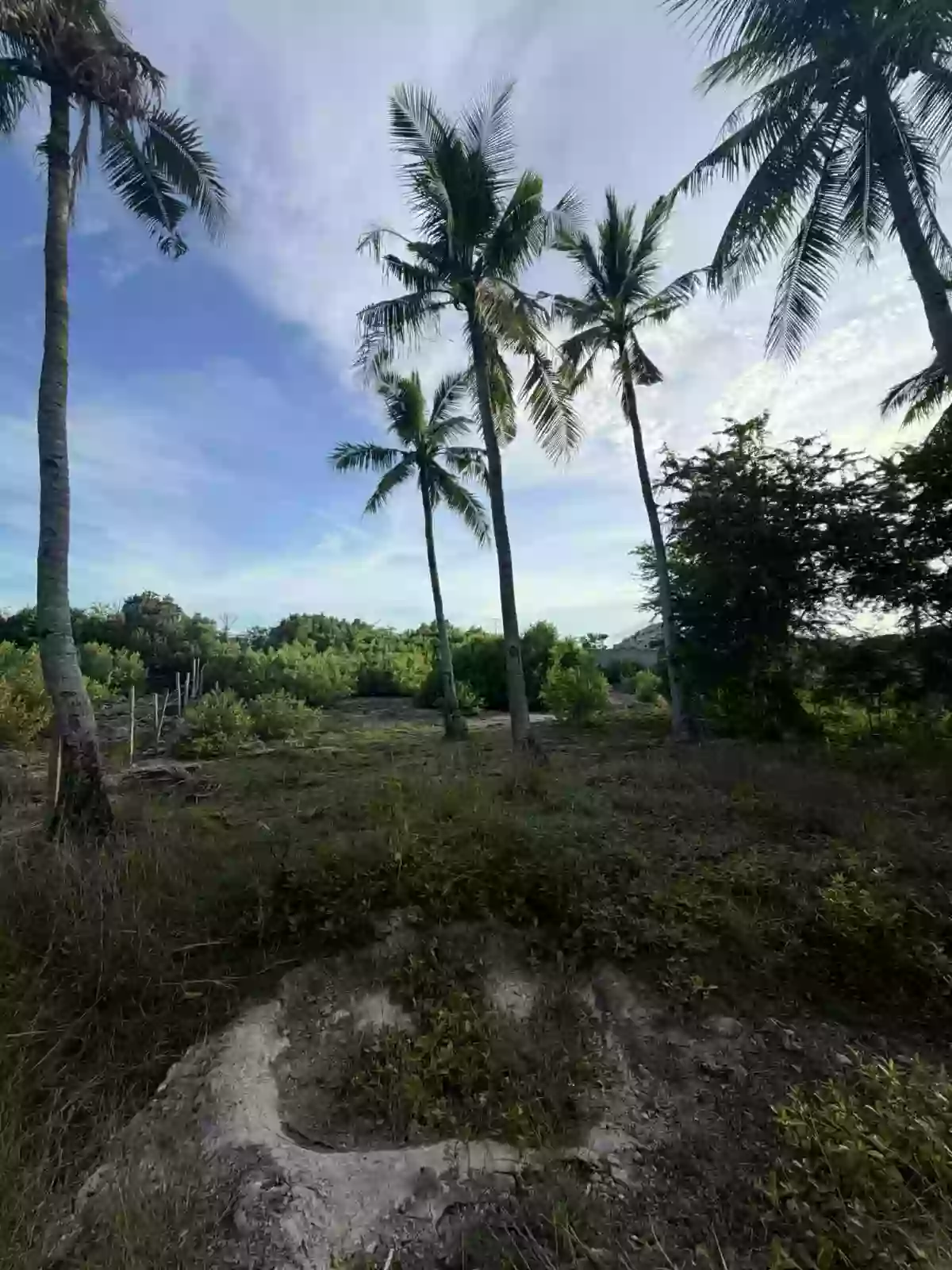 Titled Beach Lot in Santander Cebu — Beach Lot in Santander, Cebu, 6026 — Photo 2