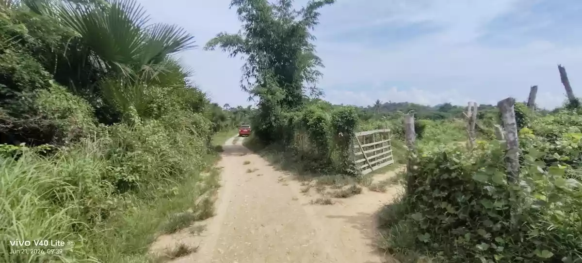 For Sale: Beach Lot Near Salvacion, Roxas — 500 Meters to Beach — Beach Lot in Roxas, Palawan, 5308 — Photo 3