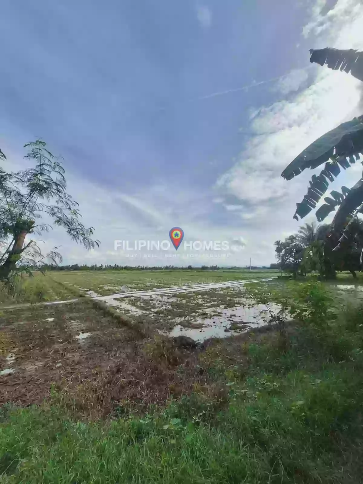 Prime Lot for Sale — Agricultural Lot in Libungan, Cotabato, 9411 — Photo 2