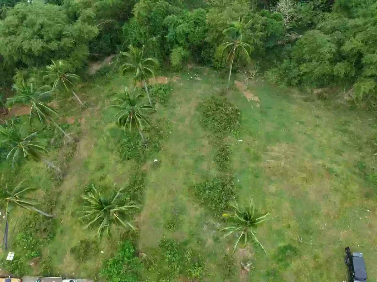 For Sale: Agricultural Lot Near Twin Lakes, Magallanes — 3.2 Hectares — Agricultural Lot in Magallanes, Cavite, 4113 — Photo 3