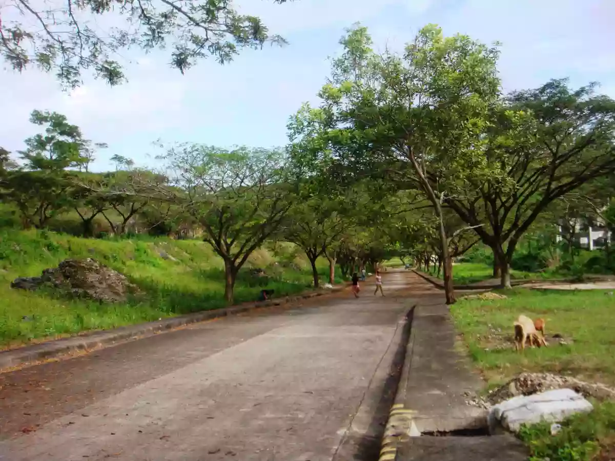 For Sale: Residential Lot in Danglag, Consolacion — 178 sqm — Residential Lot in Consolacion, Cebu, 6001 — Photo 5