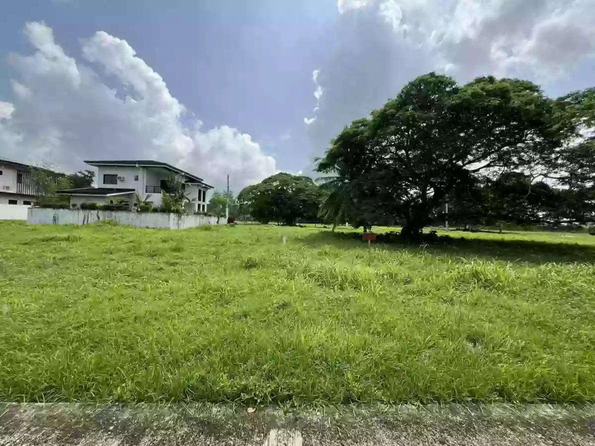 Land close to the beach in Laiya, Batangas, for sale.Subdivision, Resindential lot.247 sqm.