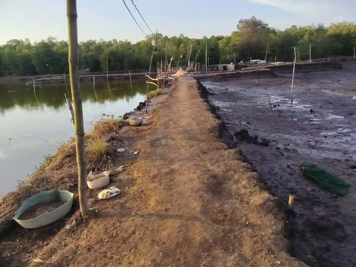 For Sale: 28197 sqm Agricultural Lot in Luzviminda, Puerto Princesa City — Agricultural Lot in Puerto Princesa City, Palawan, 5300 — Photo 2