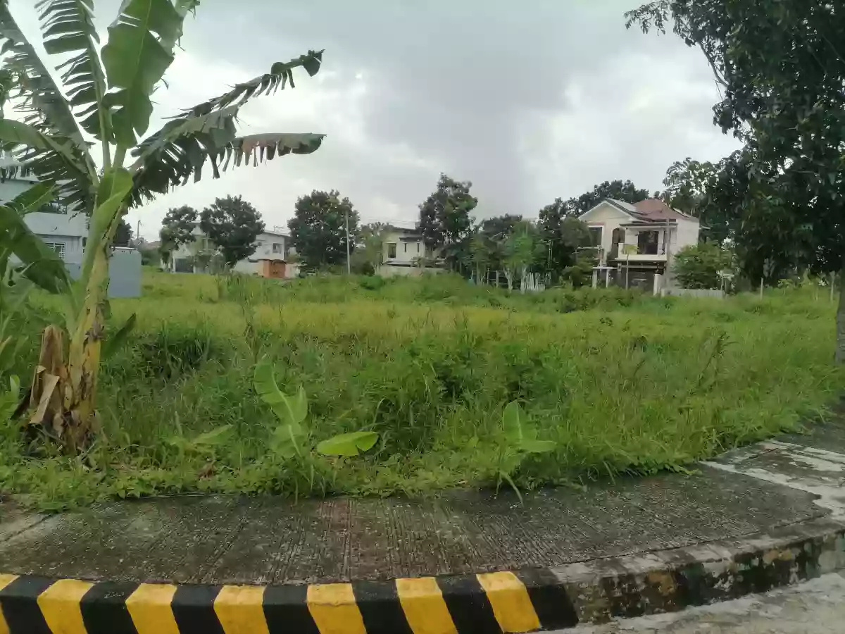 Rush Sale: High-end Lot near City Center with flexible cut. — Residential Lot in Iloilo City, Iloilo, 5000 — Photo 2