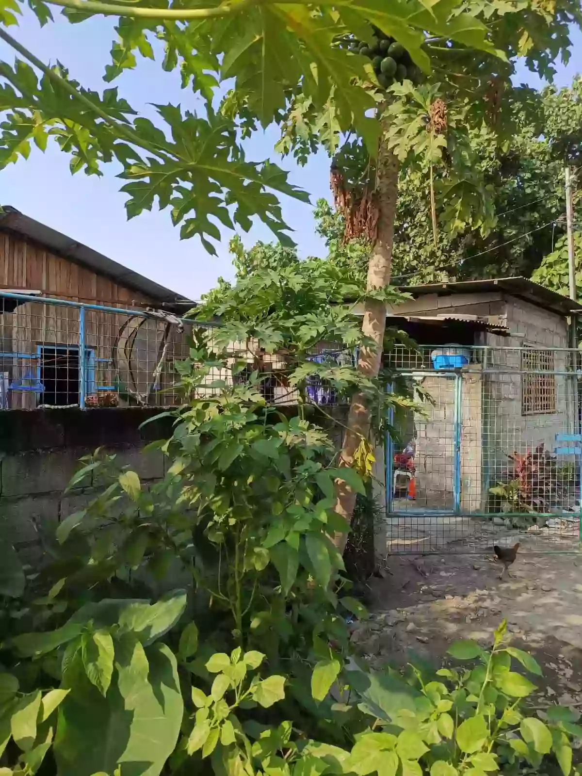 For Sale: 7BR House and Lot in San Isidro, General Santos City — 171 sqm