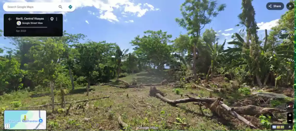 For Sale — Beach Lot in Dumanjug, Cebu, 6035 — Photo 5