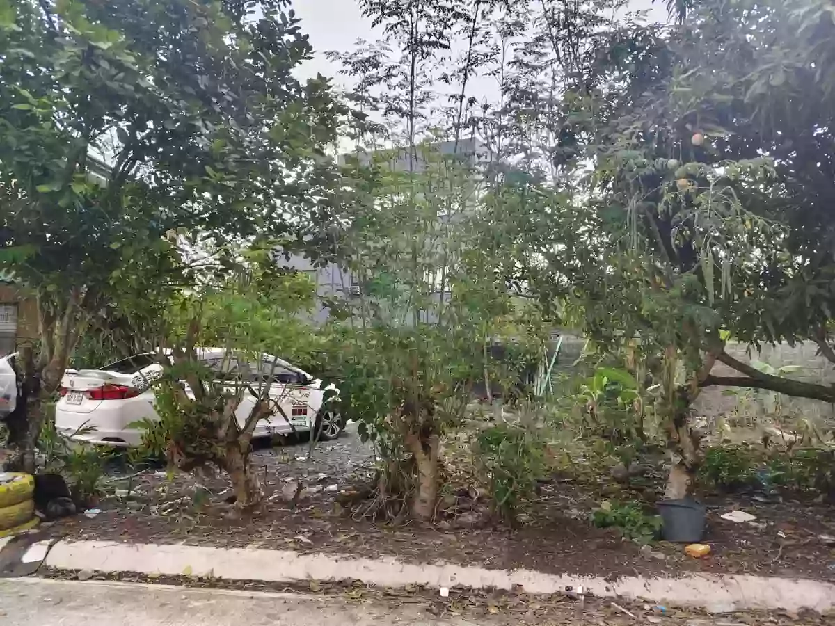 For Sale: Residential Lot in Concepcion Grande, Naga City — 171 sqm — Residential Lot in Concepcion Grande, Naga City, Camarines Sur — Photo 5