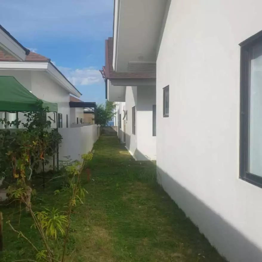 FOR SALE: ONE-STOREY SINGLE DETACHED HOUSE AND LOT AT ARGAO ROYAL PALMS - photo 3