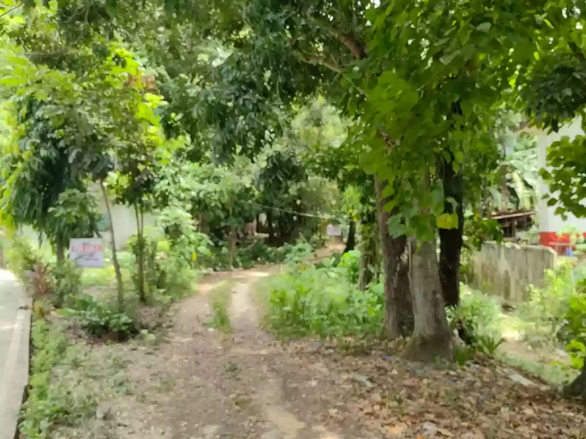 For Sale: 21,444 sqm Agricultural Lot in Santa Cruz, Liloan — Flat with Elevated Portion — Agricultural Lot in Santa Cruz, Liloan, Cebu — Photo 3