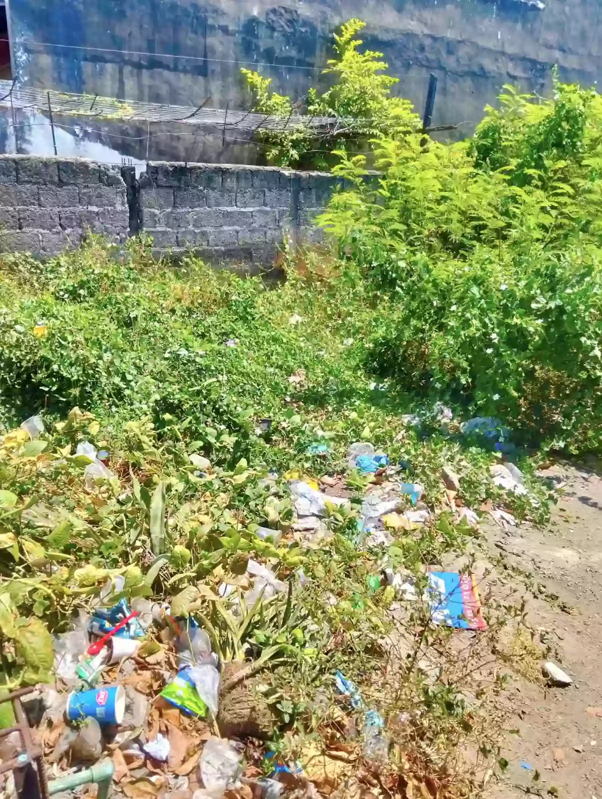π¨ RUSH SALE COMMERCIAL LOT IN SRP! π¨ β Commercial Lot in Mambaling, Cebu City, Cebu β Photo 2