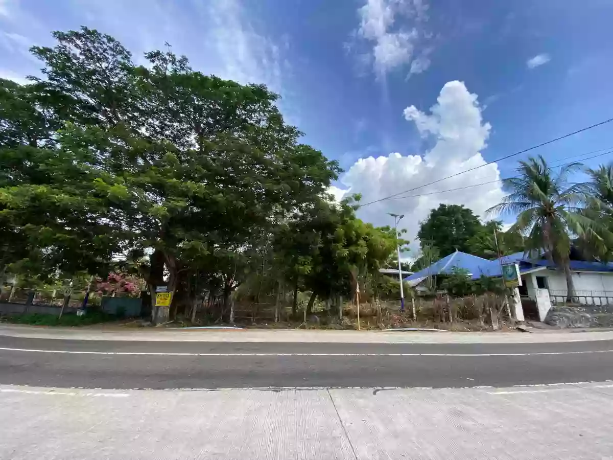 For Sale: Agricultural Lot in Masaplod Sur, Dauin — 3185 sqm — Agricultural Lot in Dauin, Negros Oriental, 6217 — Photo 2