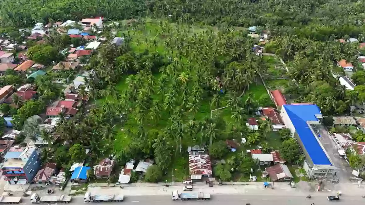 For Sale: Residential Lot Near Tuburan District Hospital, Tuburan — 20000 sqm