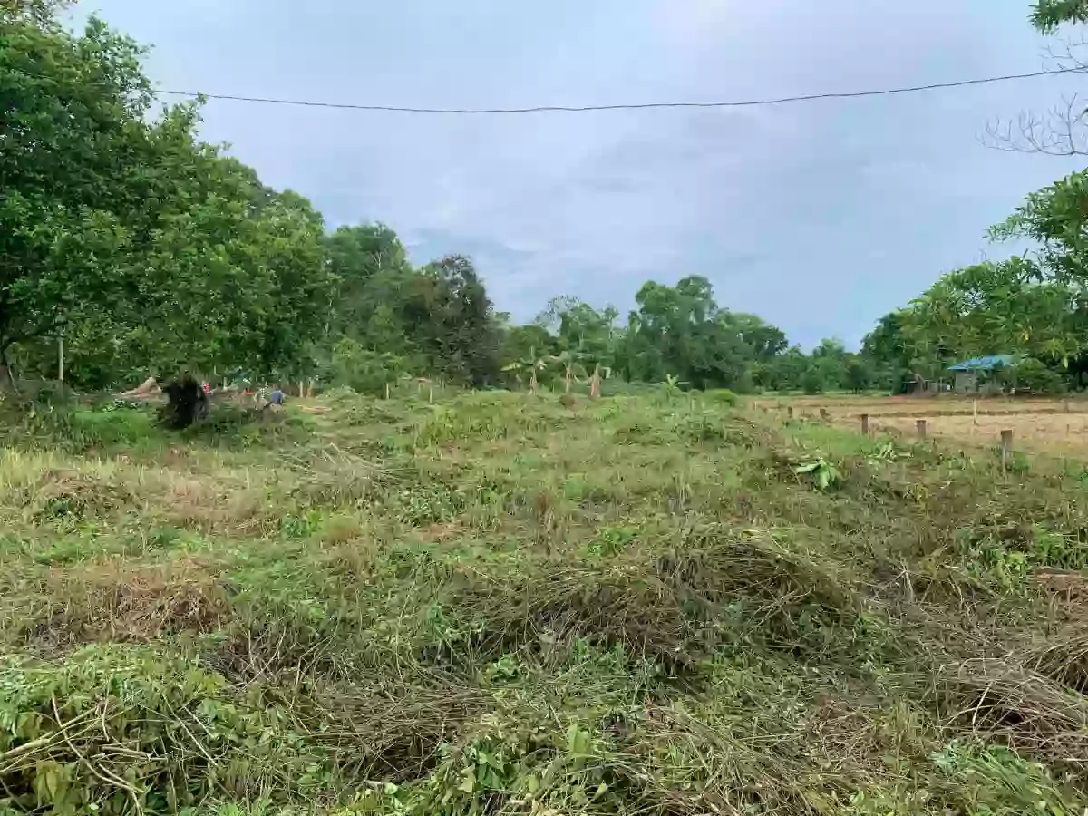 1631 sqm Residential Lot for Sale in Piña, Buenavista — Residential Lot in Piña, Buenavista, Guimaras — Photo 2