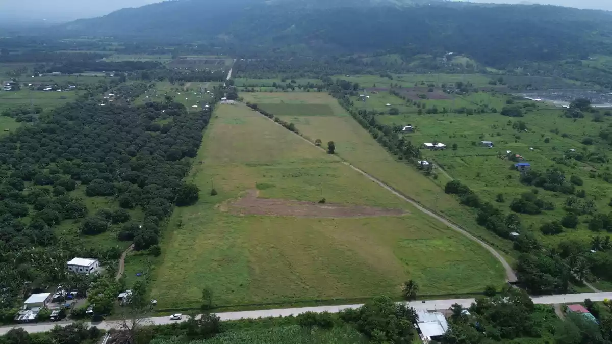 For Sale: Agricultural Lot in Cannery Site, Polomolok — 150000 sqm — Agricultural Lot in Polomolok, South Cotabato, 9504 — Photo 3