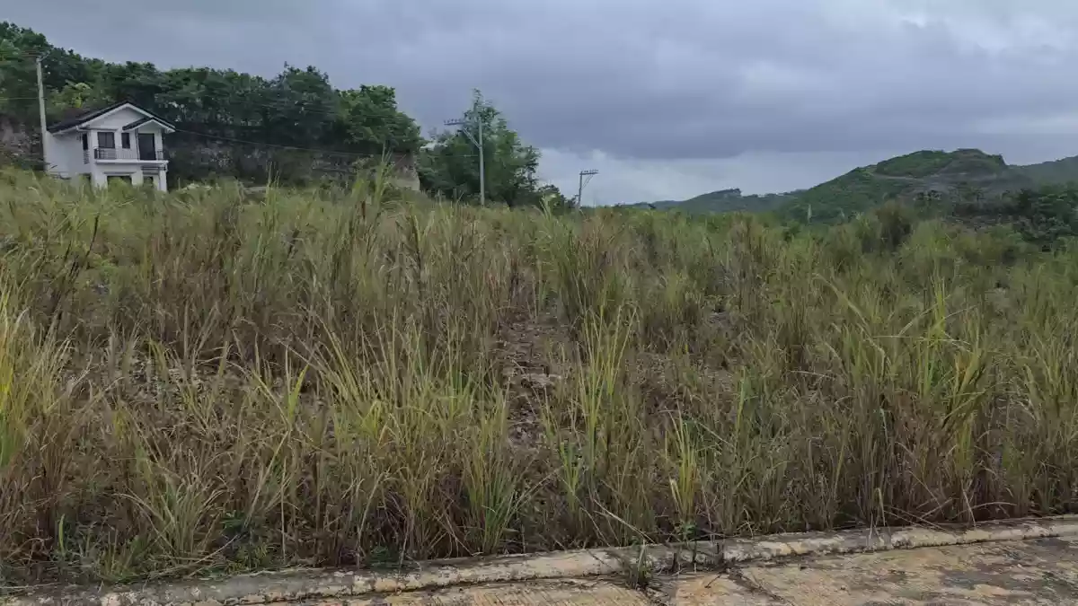 For Sale: Residential Lot Near Discovery Hills, Liloan — 200 sqm