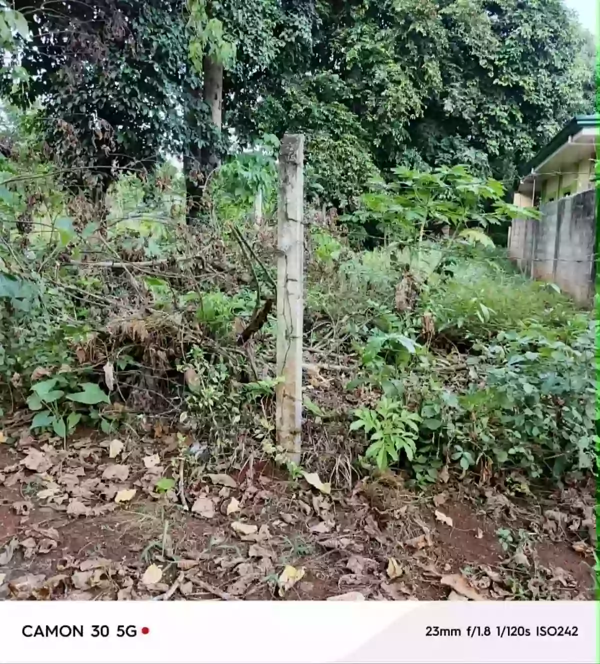 Rush Sale: Residential Lot in San Manuel, Puerto Princesa City — Investment — Residential Lot in Puerto Princesa City, Palawan, 5300 — Photo 3