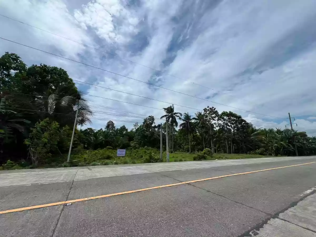 For Sale: Agricultural Lot in Soriano, Cabadbaran City — 3226 sqm — Agricultural Lot in Cabadbaran City, Agusan del Norte, 8605 — Photo 3