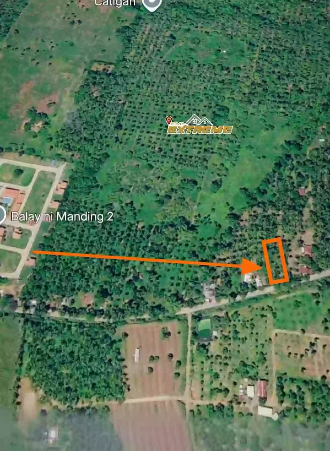 For Sale: Catigan Residential Lot in Toril, Davao City — Nature-Filled Retreat — Residential Lot in DavaoCity, Toril (Pob.), Davao City — Photo 3