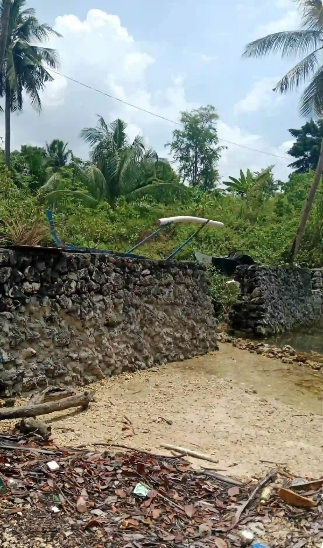 For Sale: Beach Lot in Bogo, Argao, Cebu — 4430 sqm — Beach Lot in Argao, Cebu, 6021 — Photo 2