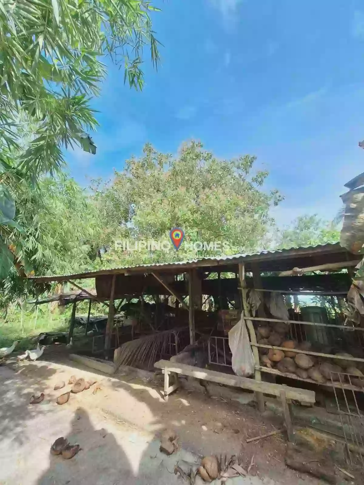 Prime Lot for Sale — Agricultural Lot in Libungan, Cotabato, 9411 — Photo 4