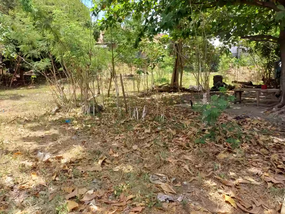 Commercial Prime Location Lot, Bulua . — Commercial Lot in Cagayan de Oro City, Misamis Oriental, 9000 — Photo 2