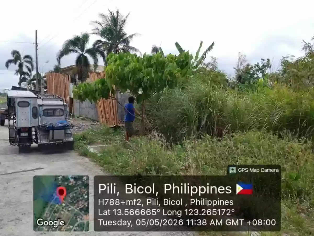 For Sale: Residential Lot in Cadlan, Pili, Camarines Sur — 216 sqm — Residential Lot in Pili, Camarines Sur, 4418 — Photo 3