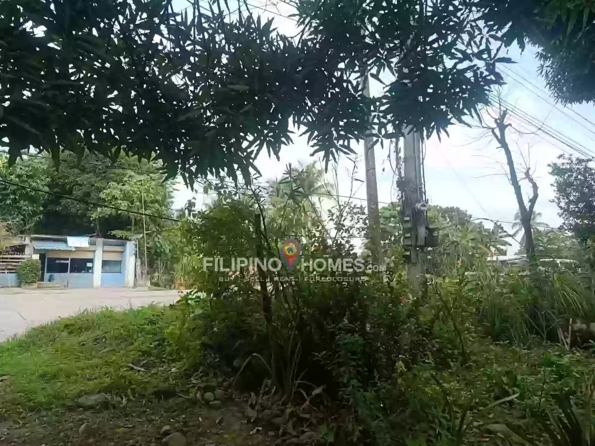 For Sale: Agricultural Lot in Sinawingan, Libungan — 15460 sqm — Agricultural Lot in Libungan, Cotabato, 9411 — Photo 4