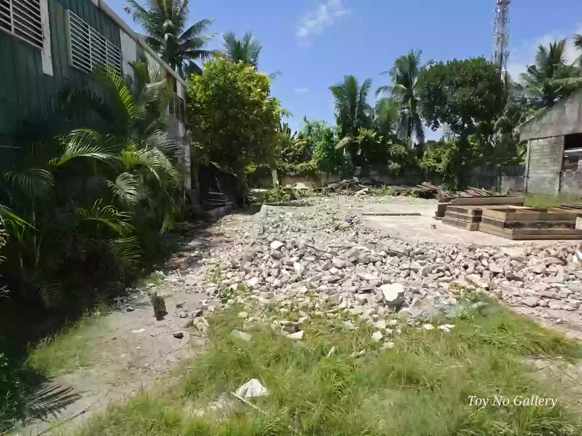 For Lease: 846 sqm Commercial Lot in Sangat, San Fernando Cebu