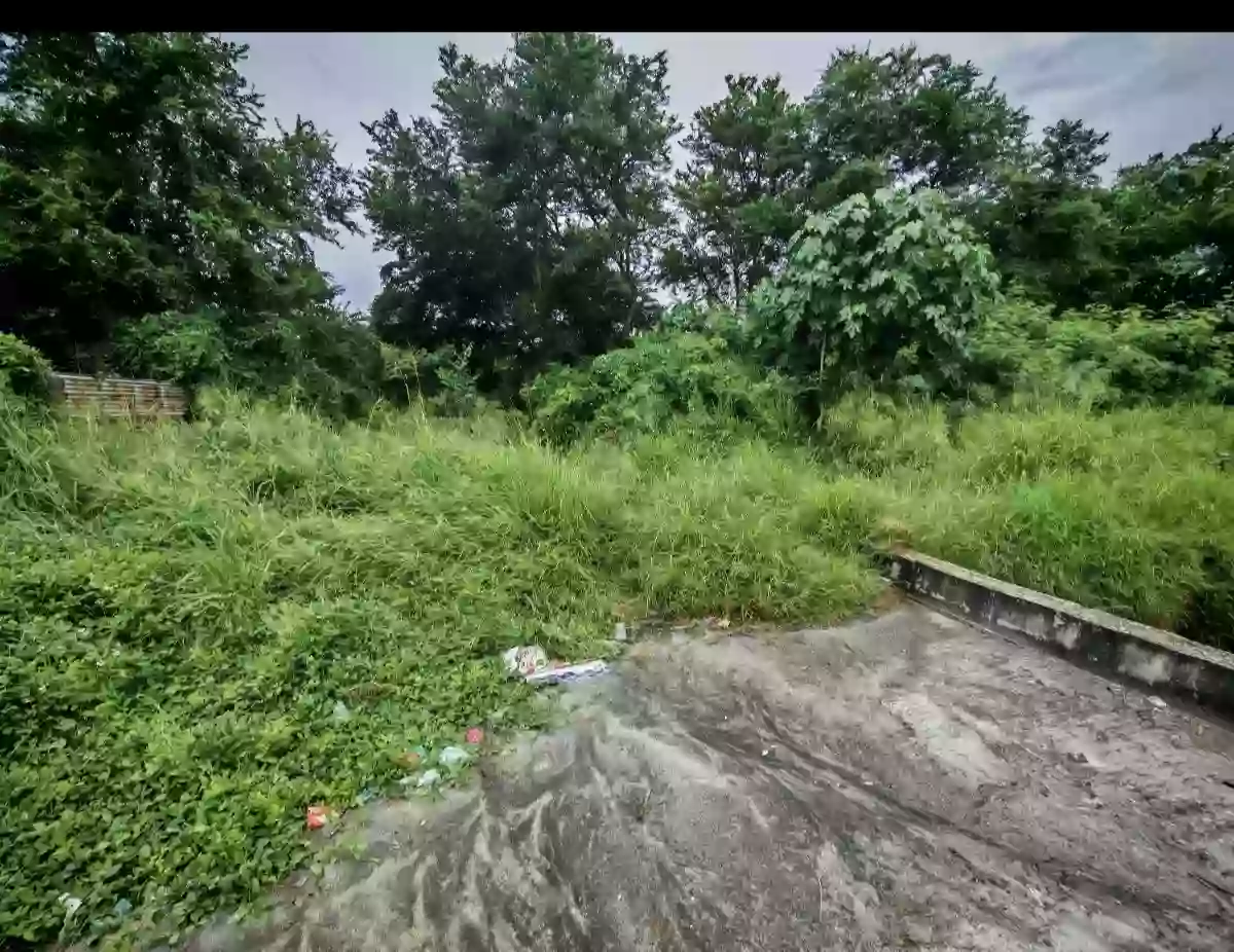 3125sqm. Commercial Lot — Commercial Lot in uhaw, Tambler, General Santos City — Photo 5
