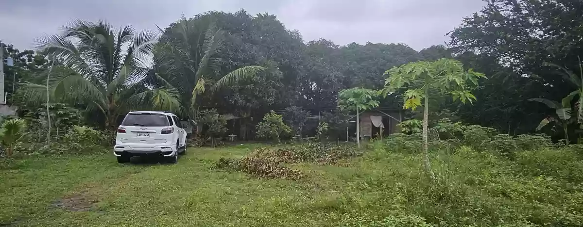 For Sale Farm Lot -Purok 8 Tinagacan, Gen. Santos City — Gated and Cemented Road — Agricultural Lot in Lower Labay, Tinagacan, Gen. Santos City — Photo 6
