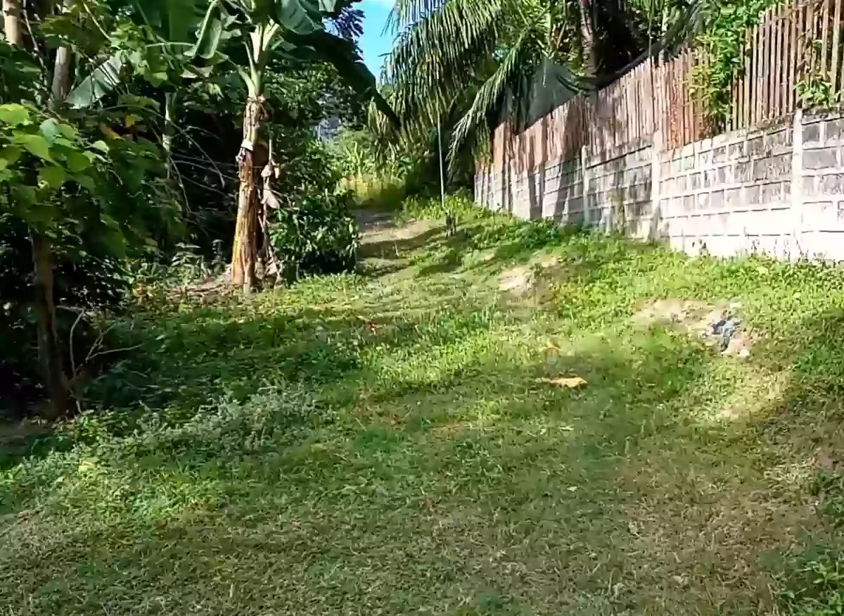 For Sale: Residential Lot in Luinab, Iligan City — 800 sqm — Residential Lot in Iligan City, Lanao del Norte, 9200 — Photo 4