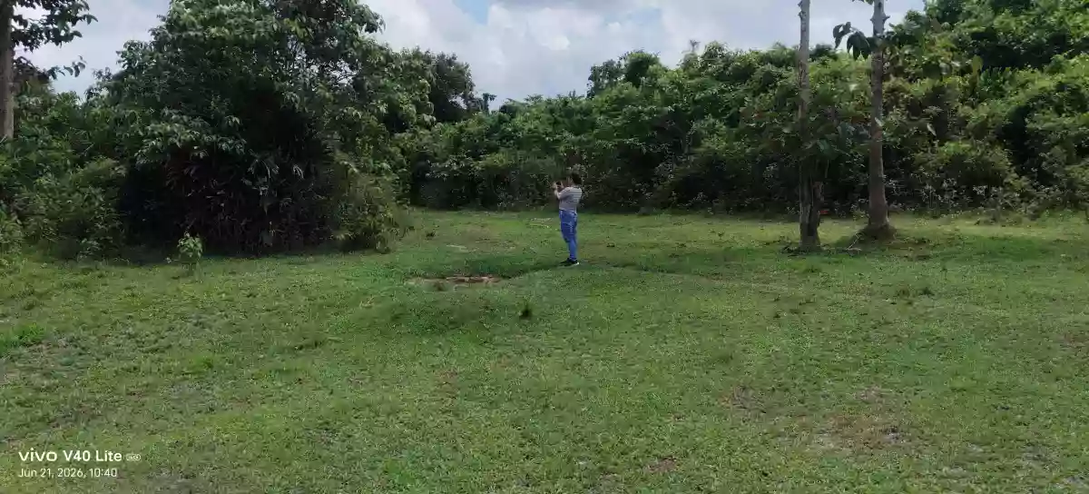 Rush Sale: 89,000 sqm Agricultural Lot in New Cuyo, Roxas, Palawan — Agricultural Lot in Roxas, Palawan, 5308 — Photo 4