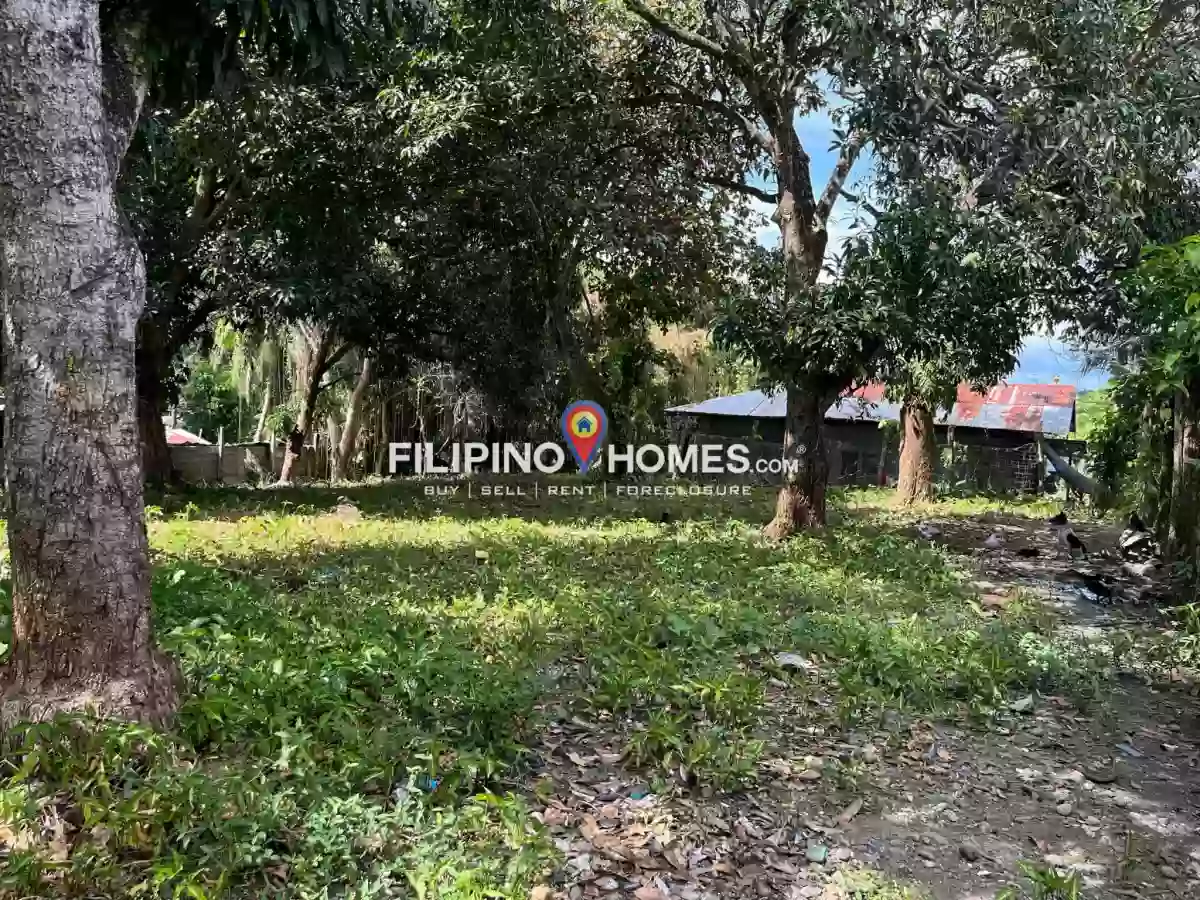 For Sale: 1400 sqm Agricultural Lot in Kiwanan, Midsayap — Agricultural Lot in Midsayap, Cotabato, 9410 — Photo 2