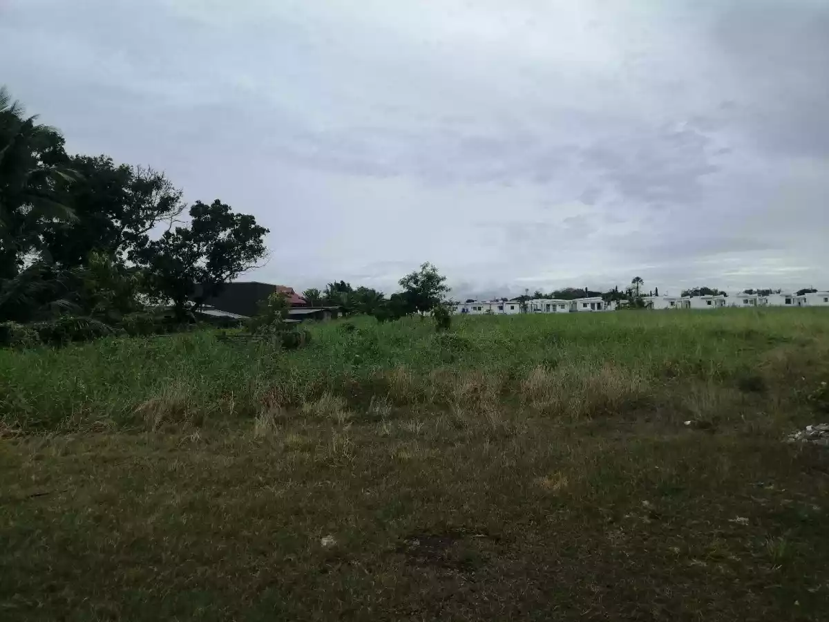FOR SALE: Residential Lot in Tabucan, Iloilo City — 76,097 sqm — Residential Lot in Tabucan, Iloilo City, Iloilo — Photo 5
