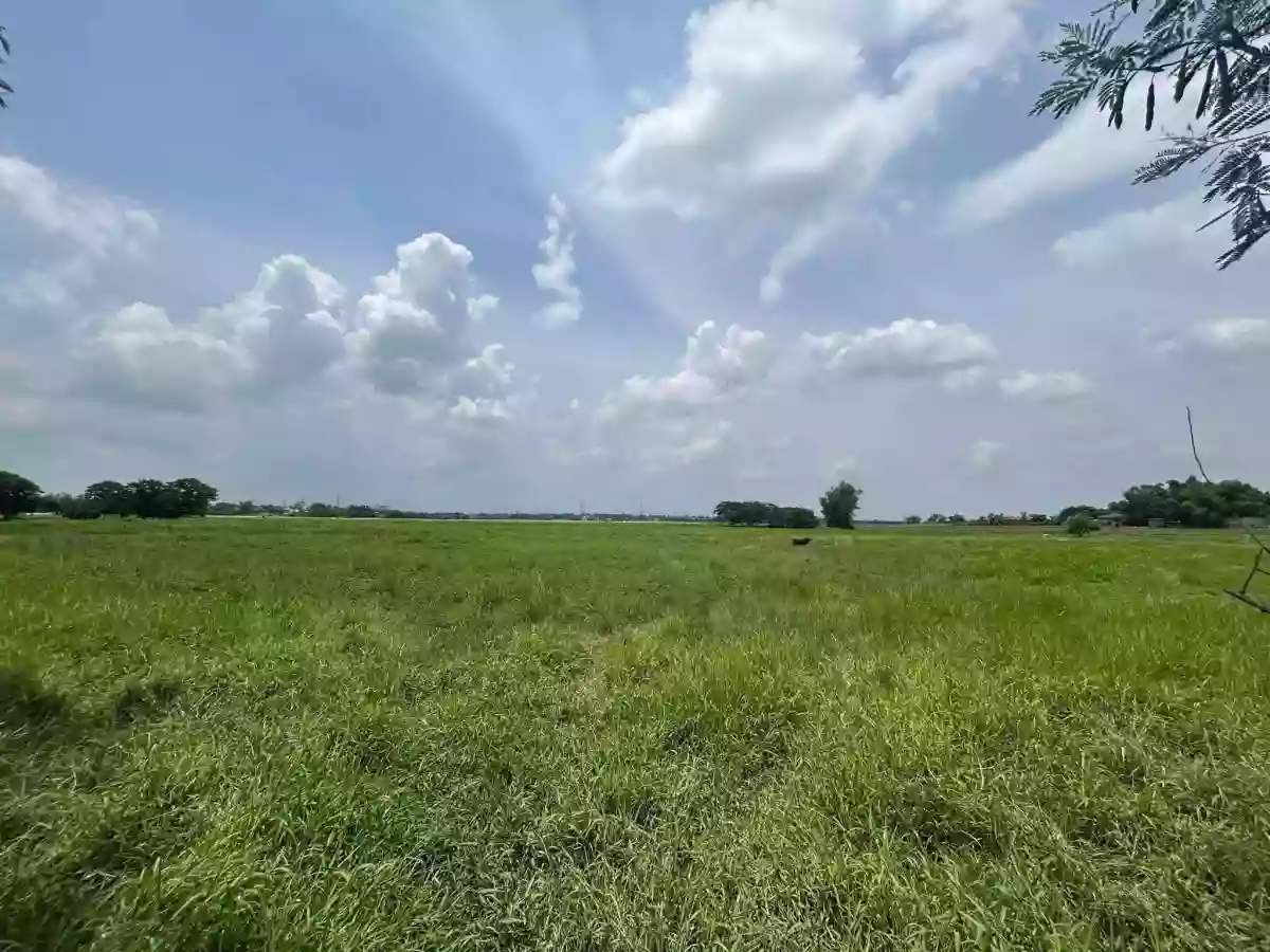 33,387 SQM Agricultural Land For Sale | Brgy. Calasag, San Ildefonso, Bulacan | Clean Title