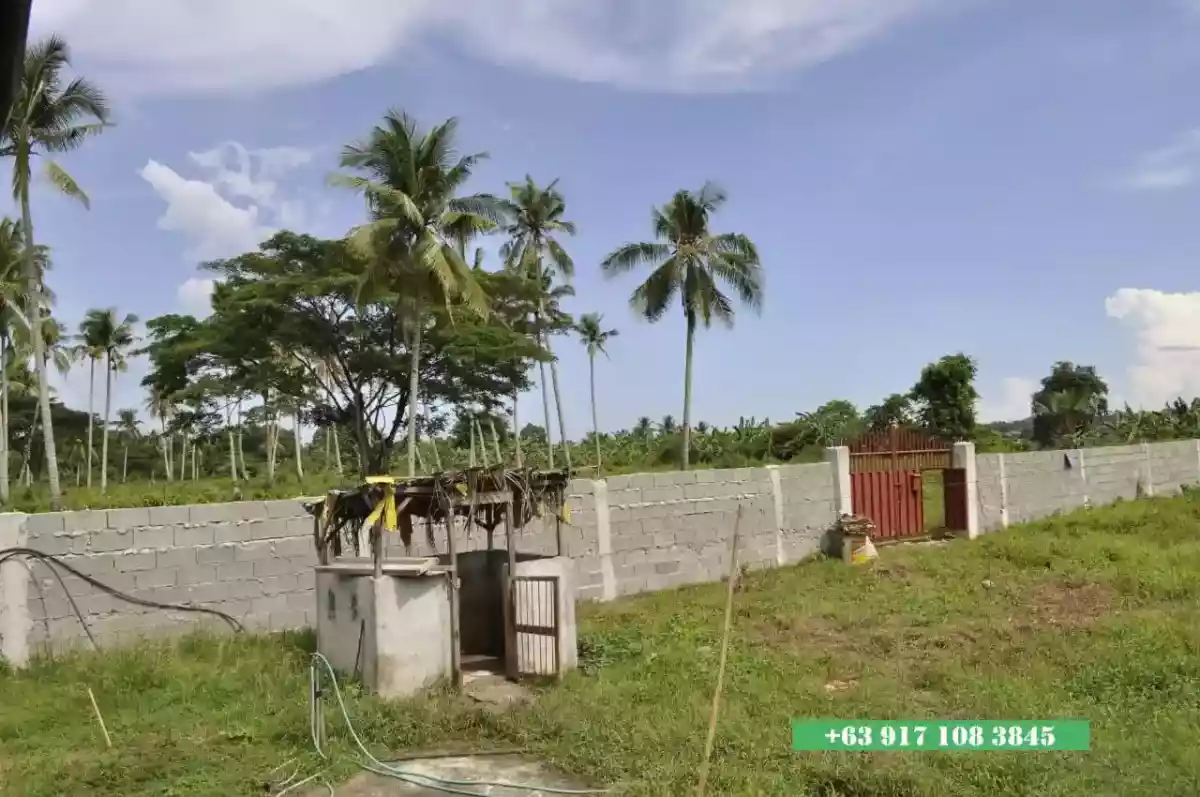 Open photo 11 of 12 — 2,000 SQM Prime Industrial Lot for Sale Malagamot Road, Indangan, Buhangin District, Davao City