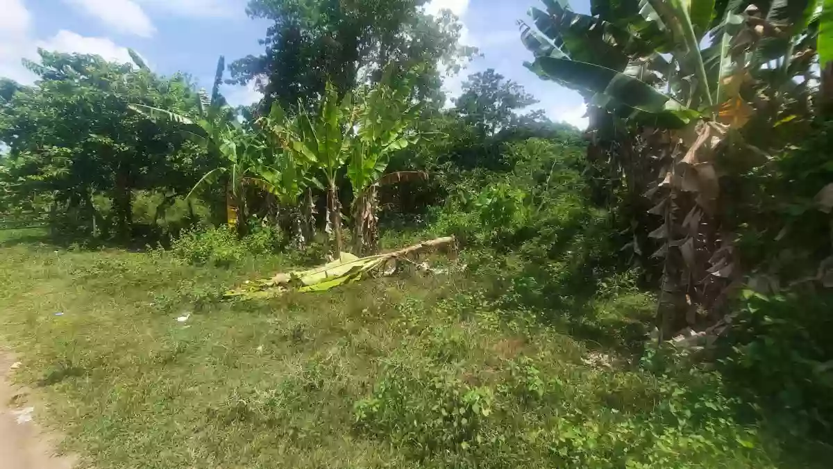 RESIDENTAIL LOT FOR SALE IN DUMAGUETE CITY — Residential Lot in Dumaguete City, Negros Oriental, 6200 — Photo 4