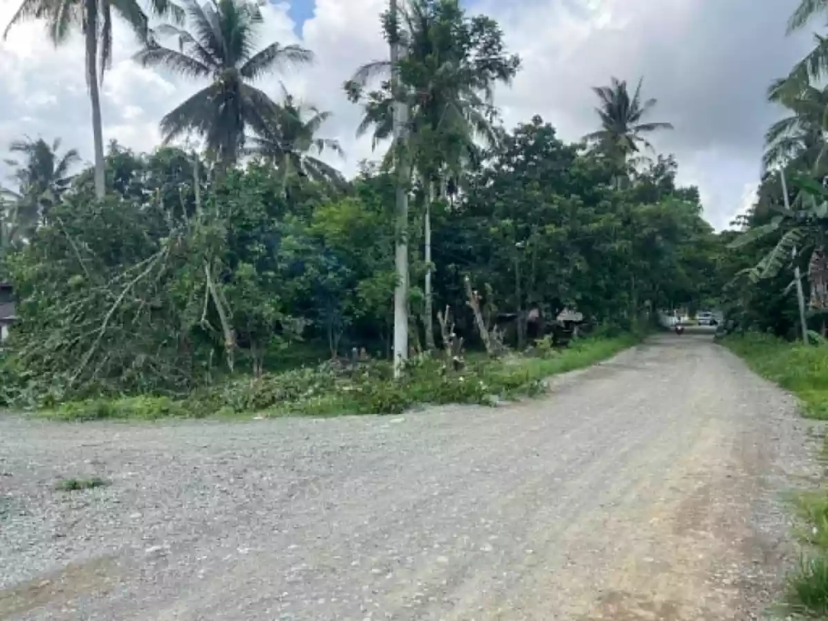 For Sale: Residential Lot in Alfonso XIII (Pob.), Quezon, Palawan — 596 sqm — Residential Lot in Alfonso XIII (Pob.), Quezon, Palawan — Photo 4