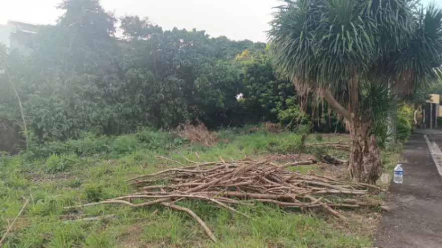 For Sale: Residential Lot in Ciudad Maharlika Subd. Ilayang Iyam Lucena City – Near Main Road - photo 3