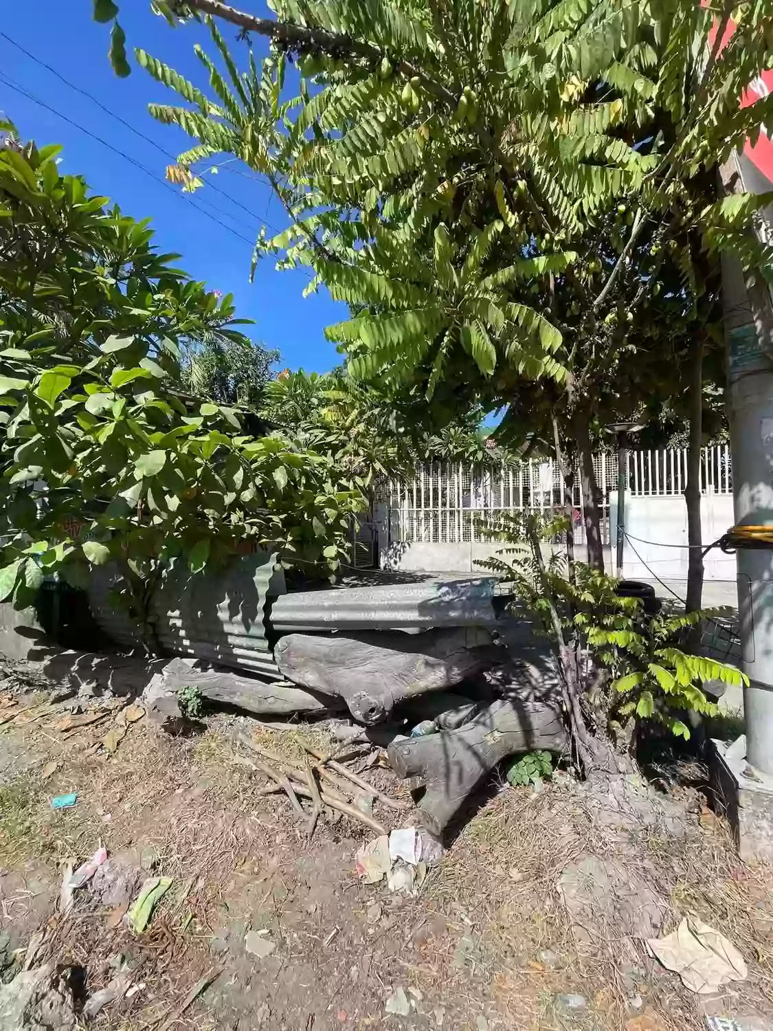 For Rent Commercial Lot along National Highway — Commercial Lot in Canamucan, Compostela, Cebu — Photo 4