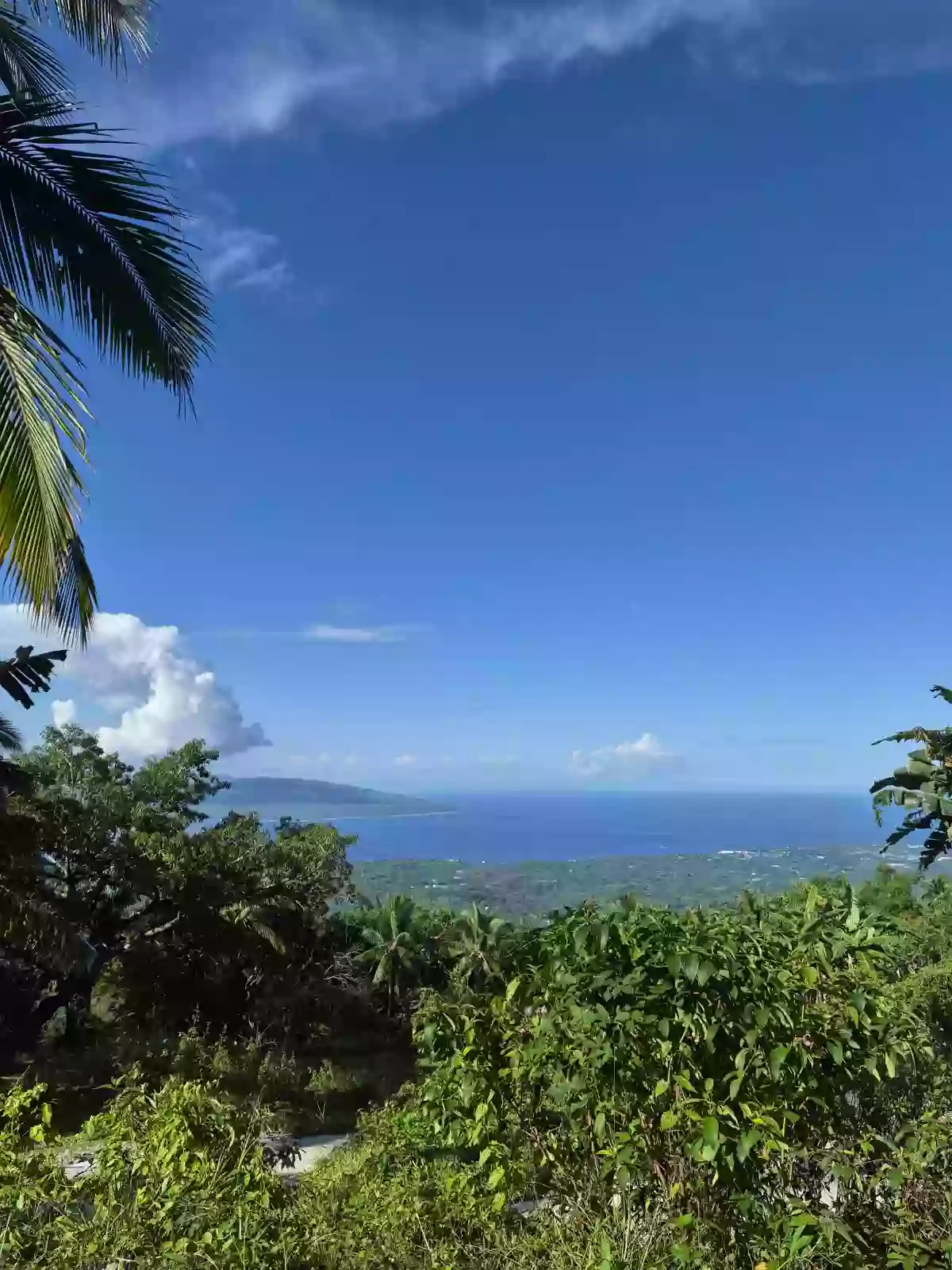 For Sale: Residential Lot in San Antonio, Sibulan — 300 sqm — Residential Lot in Sibulan, Negros Oriental, 6201 — Photo 4