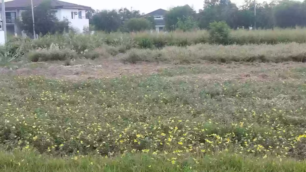 Bloomfields General Santos Residential Lot For Sale in Labangal — Investors — Residential Lot in GENERAL SANTOS CITY, Labangal, Gen. Santos City — Photo 4