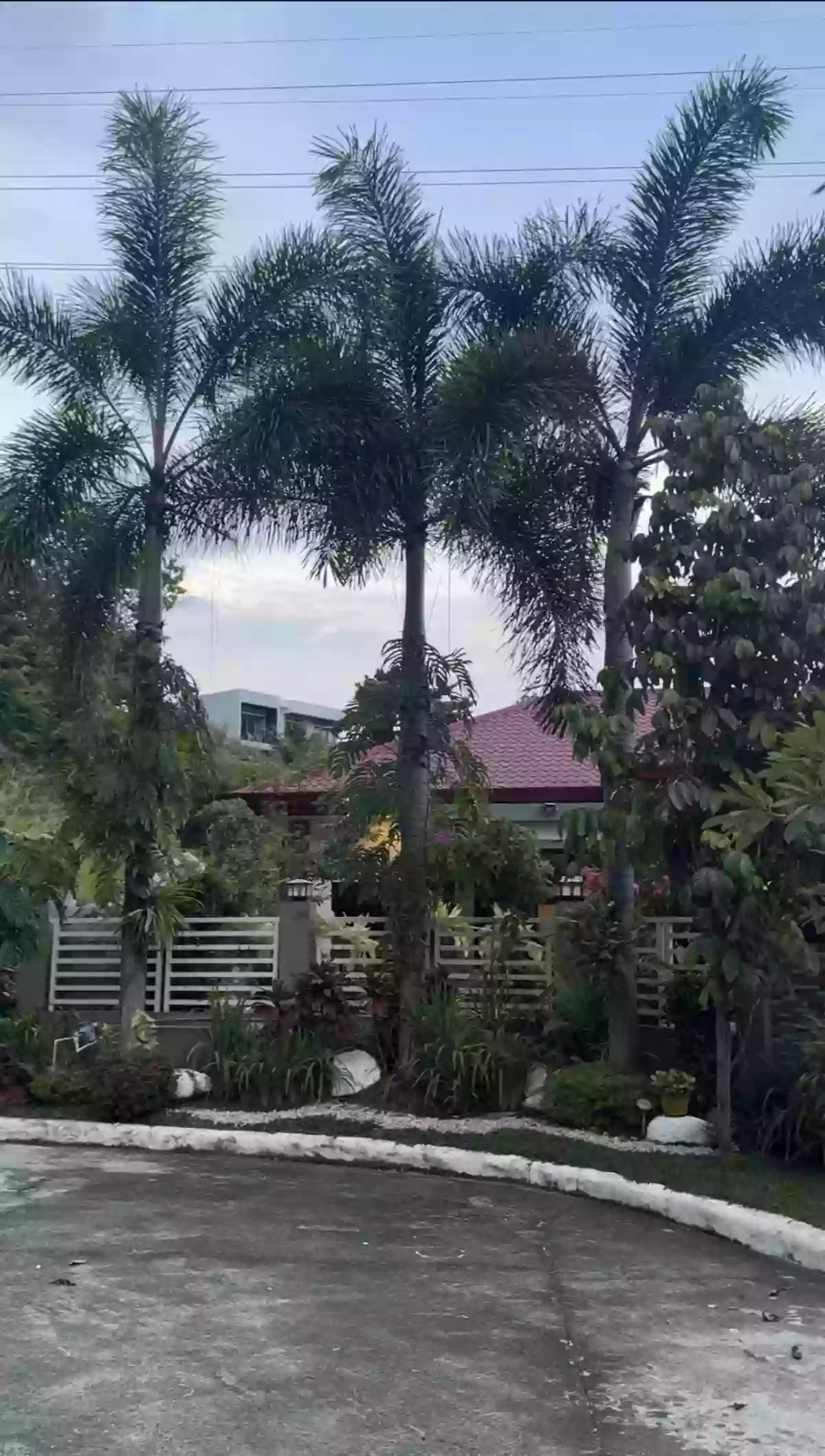 Open photo 17 of 17 — Bungalow House in Xavier Estates