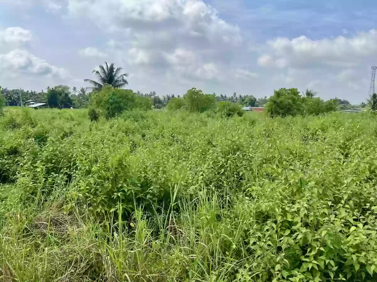 For Sale: Residential Lot in Silway 8, Polomolok — 3830 sqm