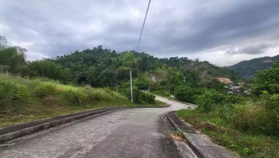 For Sale: 198 sqm Residential Lot at Greenwoods Executive Homes in Talamban, Cebu — Residential Lot in Cebu City, Cebu, 6000 — Photo 5