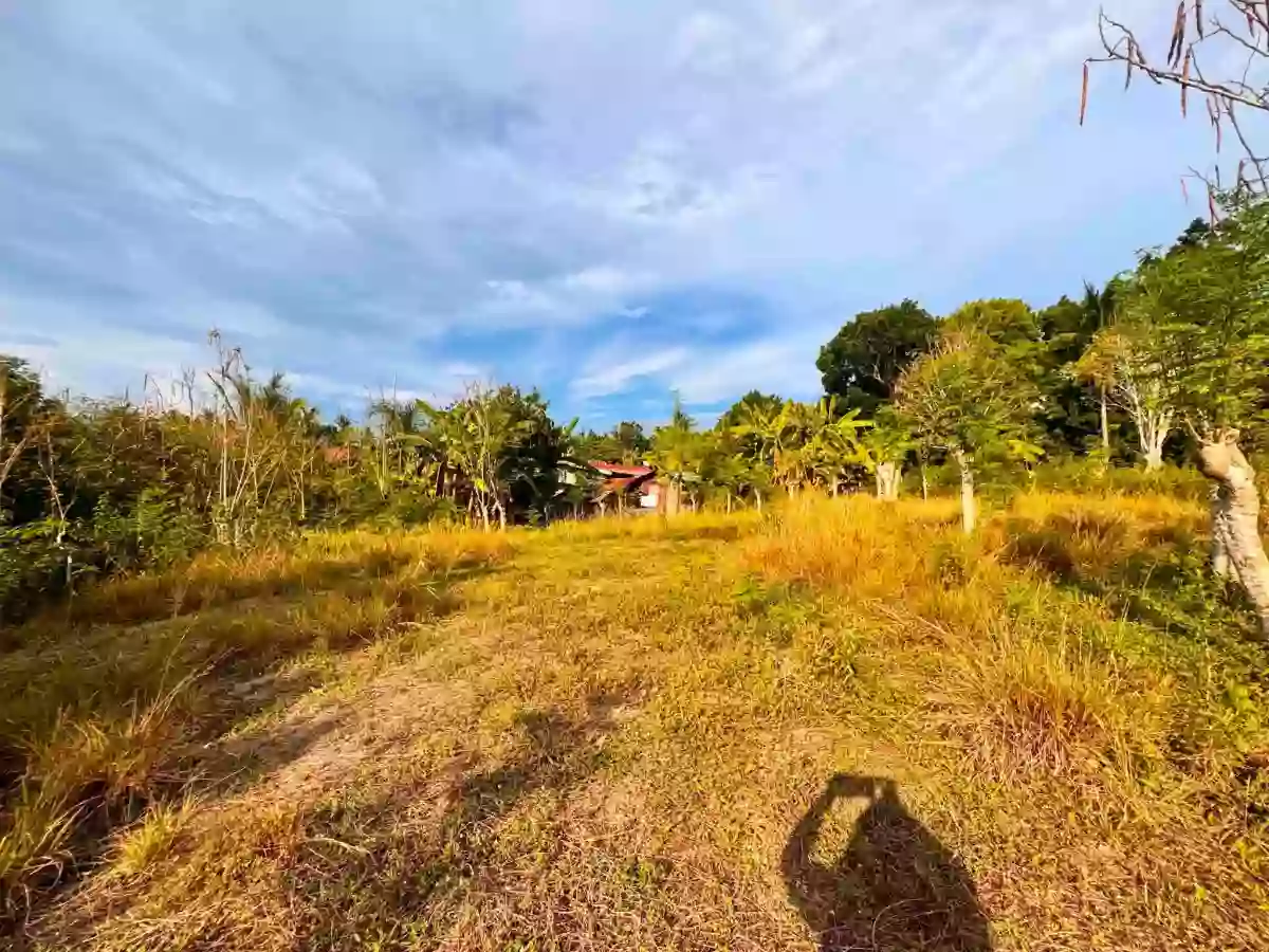 Rush Sale: ALCANTARA LOT - ALONG THE MAIN ROAD — Residential Lot in Alcantara, Cebu, 6033 — Photo 7