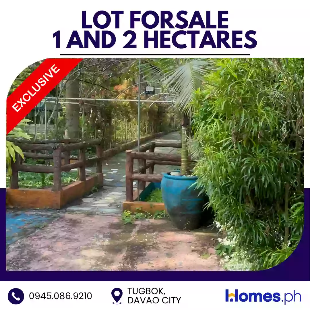 For Sale: Residential Lot in Tugbok (Pob.), Davao City — 30000 sqm — Residential Lot in Davao City, Davao del Sur, 8000 — Photo 6