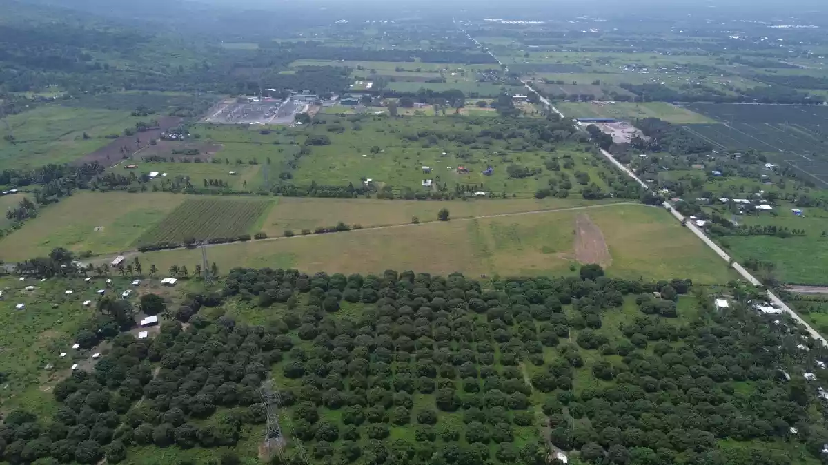 For Sale: Agricultural Lot in Cannery Site, Polomolok — 150000 sqm — Agricultural Lot in Polomolok, South Cotabato, 9504 — Photo 5