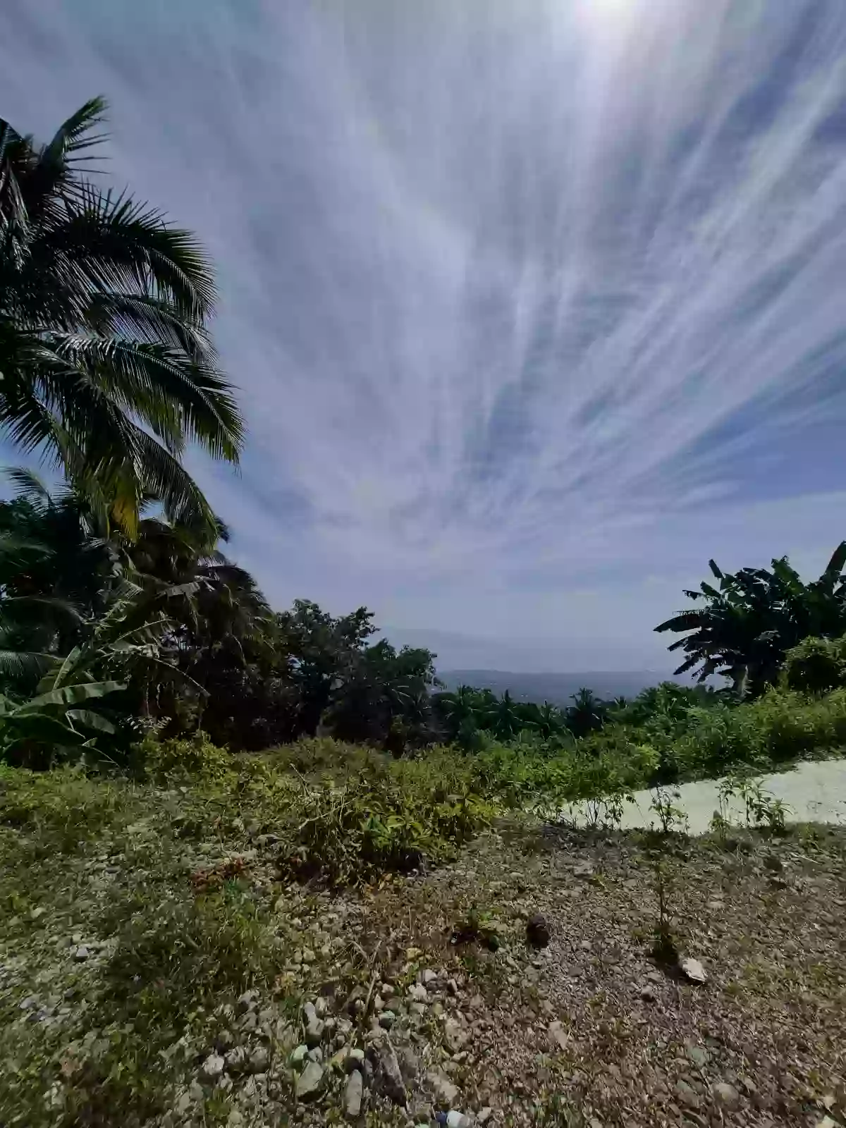 Open photo 12 of 12 — For Sale: Residential Lot in San Antonio, Sibulan — 300 sqm